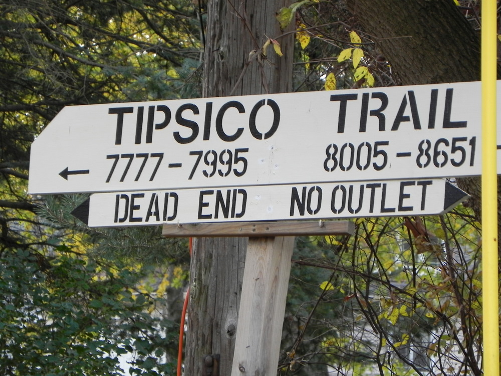 Tipsico Lake Livingston County Michigan